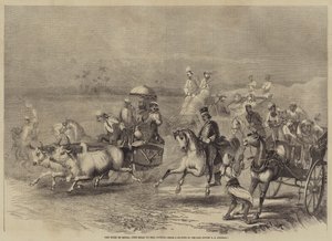 El Turf en India, el Camino al Hipódromo
